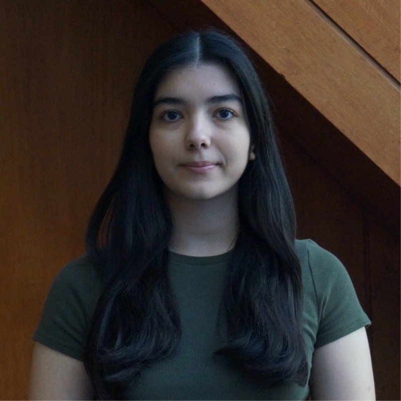 Aylin Beheshtiroui